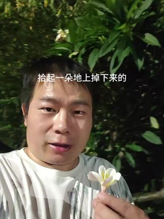 鸡蛋花#花海 #花开富贵好运来 #水果 #短视频带货 #无限回购的宝藏单品