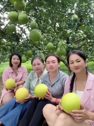 来咯来咯,罗城金玉蜜柚开园咯,酸酸甜甜的口感,每一个都是皮薄肉厚的,想要的直接下单哦😊😊😊#罗城金玉蜜柚 #家乡特产