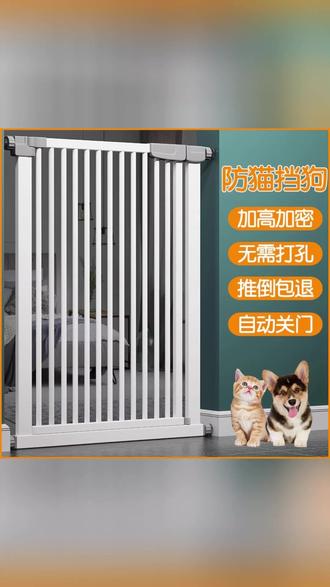 宠物围栏 宠物狗围栏防猫门栏免打孔猫咪栏杆防猫专用挡猫挡板栏栅隔离门#猫咪栏杆 #猫狗隔离 #狗围栏 #宠物围栏分享 #免打孔用品