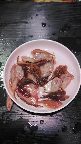 鱼缸里的圆嘟嘟小胖子来啦!琵琶吸鳅长相超特别,趴在缸壁默默啃藻,清洁观赏两不误,可爱又实用~#养鱼日记 #观赏鱼 #鱼缸里的大自然 #贵州爬岩鳅 #新手养鱼 @DOU+上热门 @抖加🔥上热门🔥dou+🔥热点宝