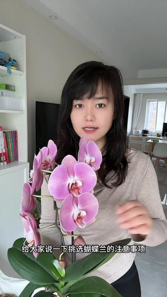 你的蝴蝶兰挑对了没?新手选购蝴蝶兰避坑指南,蝴蝶兰买回去总养不活,除了养护不当外,可能你选购的蝴蝶兰本身就有问题,看完这个蝴蝶兰选购教程,保证你能选出理想的蝴蝶兰。#爱生活爱养花 #年宵花 #蝴蝶兰 #蝴蝶兰养护 #避坑指南 如何挑选蝴蝶兰 买蝴蝶兰怎么挑选 选购蝴蝶兰技巧 如何挑选品质好的蝴蝶兰 买蝴蝶兰的注意事项 买蝴蝶兰选购蝴蝶兰攻略