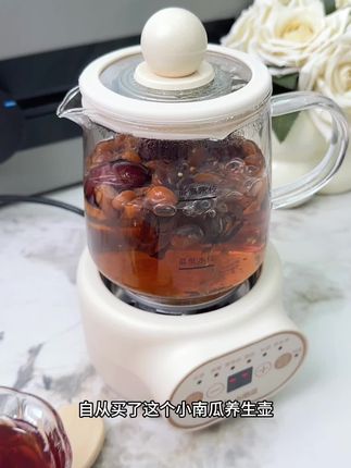 有了这个养生壶,外面的饮料啥的都戒了,每天变着花样来做#养生壶 #电热水壶 #养生就是养健康