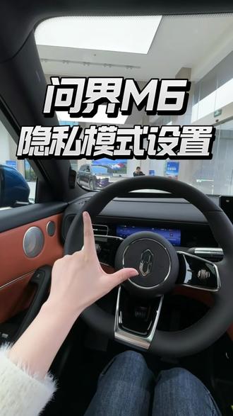 问界M6居然有隐私模式?赶紧设置起来吧! #问界 #问界m6 #用车知识 #新能源车型 #全新一代问界M9官宣