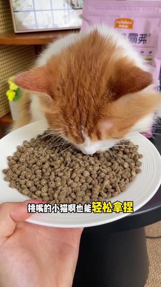 买猫粮还是得看大促,你看看现在霸弗美毛猫粮才什么价了#养宠好物分享 #麦富迪 #美毛猫粮 #猫粮推荐