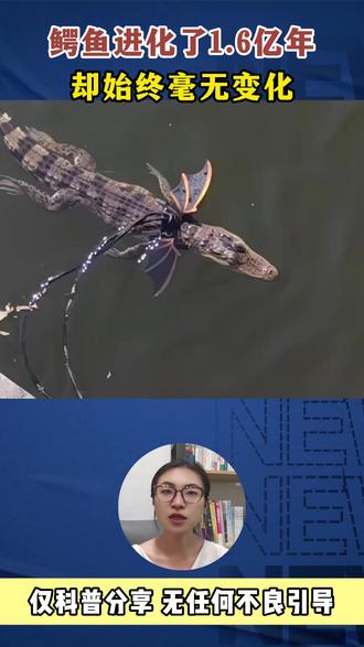 鳄鱼为何是,世界上唯一进化了1.6亿年,始终无变化的动物 #科普 #鳄鱼 #长知识