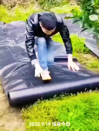 #我要上热门 地布除草布打孔防草布保湿透气防草园艺地布农用抗老化盖草布加厚#看过来 #三农种植 #除草布透气透水 #保湿透气防草布 @DOU+小助手