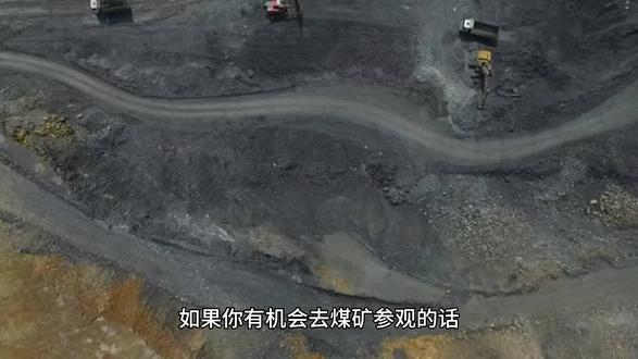 煤是怎么形成的