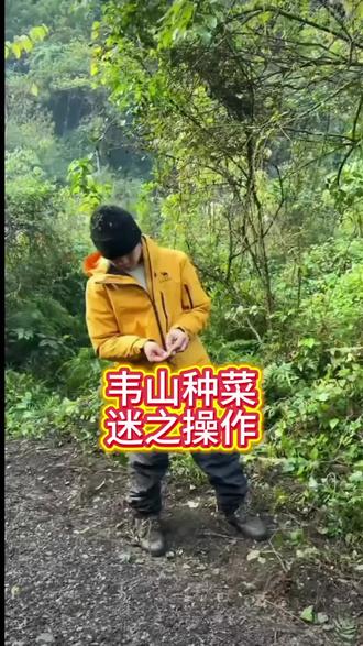 韦山的活干得怎么样#七星山骆驼杯荒野求生#荒野韦山