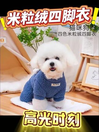 #宠物衣服 #狗狗 #比熊犬 #养狗人 #狗狗四脚衣服