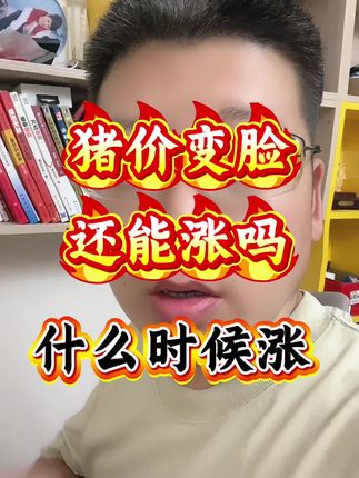 #猪价行情 #猪价