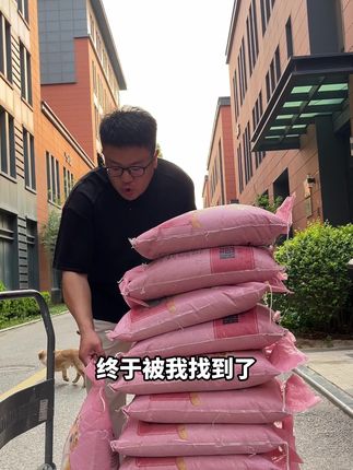 终于被我找到这个猫砂了#猫砂测评 #新手养猫 #源头好货