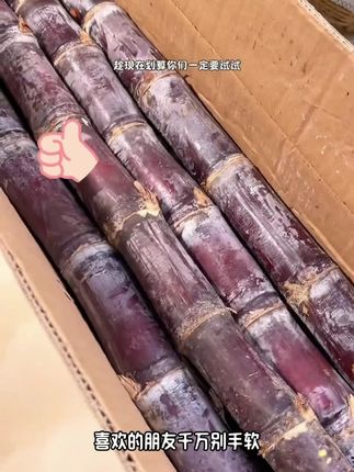 广西黑皮甘蔗#脆甜多汁 #好吃到停不下来 #现砍现发 #强烈推荐 #优质农产品