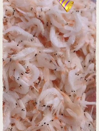 【农业部认证虾皮】野生大连新鲜S级特级淡干无盐虾皮虾米200g/400g#无盐虾皮米#农业部认证虾皮#好物推荐🔥