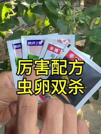 夏季高温虫子难打怎么办 就用这一套厉害的配方,虫卵双杀,持效期长#杀虫剂 #农业种植 #虫卵双杀 #甲维氯虫苯 #农资