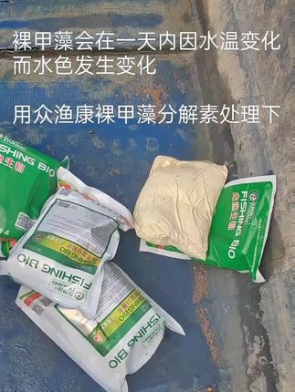 裸甲藻分解素定向灭甲藻,裸甲藻,消除水体中因甲藻引起的红水,酱油水,铁锈水等异常水色#水产养殖 #裸甲藻#鱼虾蟹养殖 #裸甲藻处理方法 #养殖人加油