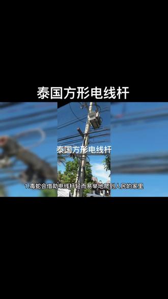 泰国方形电线杆#创作灵感 #上热门 #正能量 #社会百态