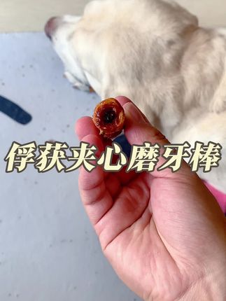 好家伙!新买的这个磨牙棒一到家,之前那些我家狗看都不看了 #养狗经验分享 #科学养宠攻略 #宠物零食 #萌宠好物