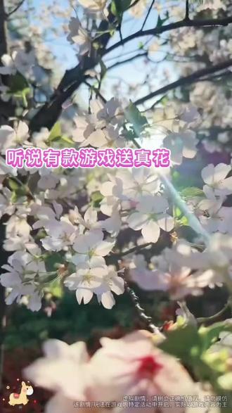 #玩游戏送真花 @我的花园世界小游戏