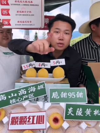 【10斤装】正宗炎陵黄桃蜜桃锦绣黄桃新鲜应季水果现摘现发次日达#蜜桃