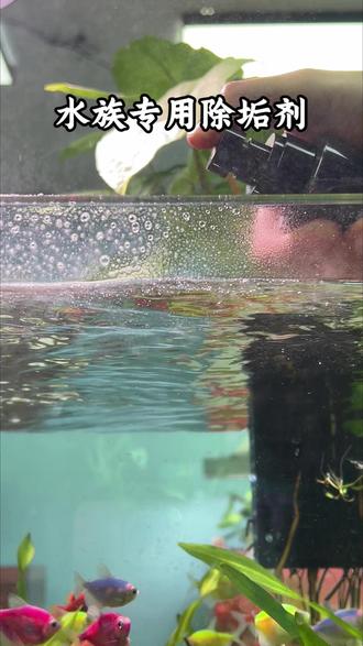 喷上去肉眼可见溶解,家里鱼缸不干净可以试试#除垢剂 #鱼缸除垢 #养鱼日记 #水族用品