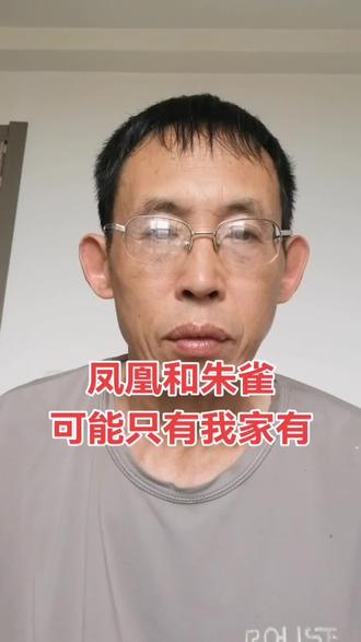 凤凰和朱雀!#凤凰 #朱雀