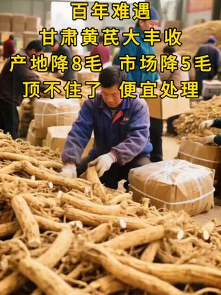 #甘肃黄芪 #陇原瑰宝 #养生好物 #传统智慧 #多样吃法@巨量千川 @DOU+小助手