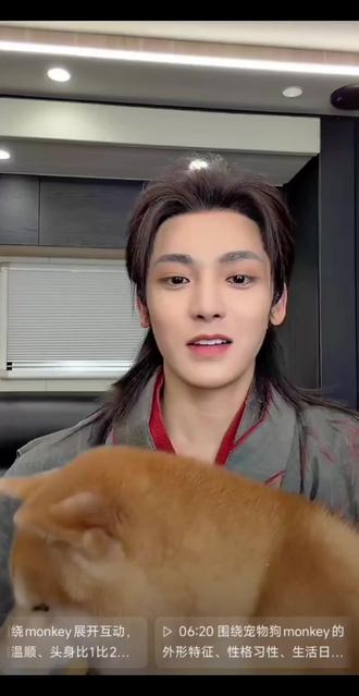 #侯明昊#侯明昊直播#动物的迷惑行为 #萌宠出道计划 #动物成精 #柴犬日常
