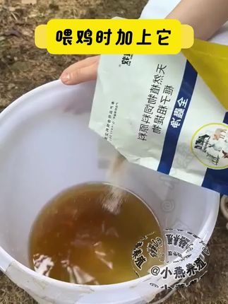 #养鸡 #鸡鸭鹅养殖 #散养土鸡 #三农