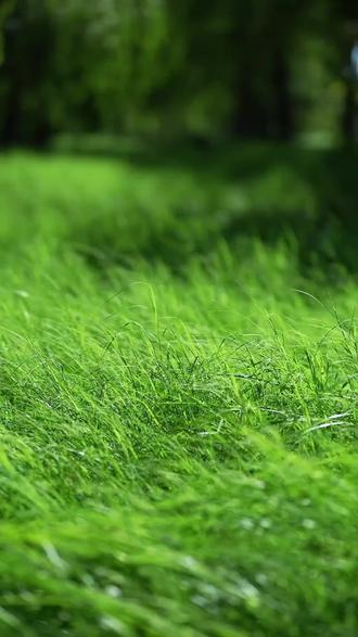 初三下学期关键节点全梳理,非常重要!千万别错过#成都教育 #成都中考 #成都初升高 #初三下学期 #时间轴