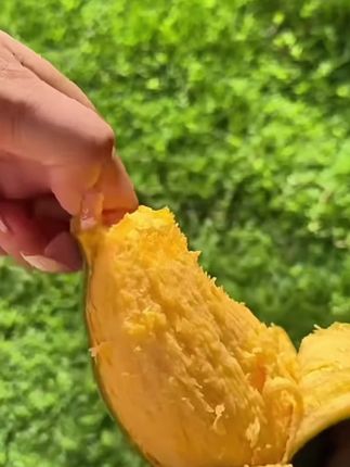 夏日水果中怎么能少了芒果呢?特别是这个口感超细腻,果肉超香甜的桂七芒果,直接吃或者做甜品冰沙都很棒,芒果控我们一起冲呀!错过了又得等明年咯!#芒果 #桂七芒果 #应季水果 #百色芒果 #优质水果