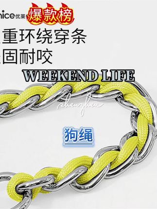 P链才是遛狗爆冲终结者 家里狗狗爆冲的都去试试 遛狗省心多了 #萌宠出道计划 #日常遛狗 #新手养狗 #狗狗爆冲