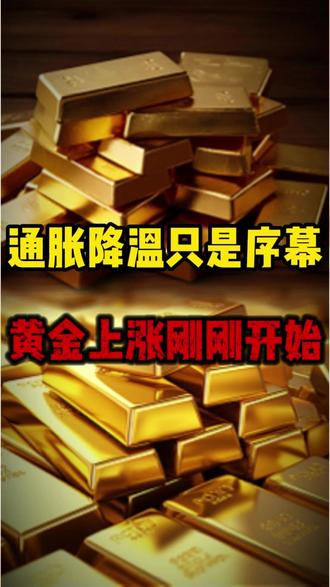 通胀降温只是序幕!黄金上涨刚刚开始! #黄金 #金价 #财经 #金价上涨