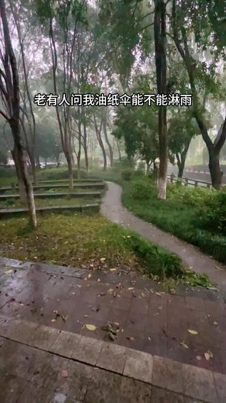 冷知识,油纸伞可以淋雨 #非遗 #百yong非遗计划 #油纸伞