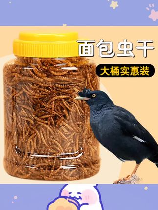 八哥面包虫干鸟食饲料鹦鹉八哥专用零食豪华套餐面包虫鸟粮用品#面包虫 #鸟粮 #宠物用品