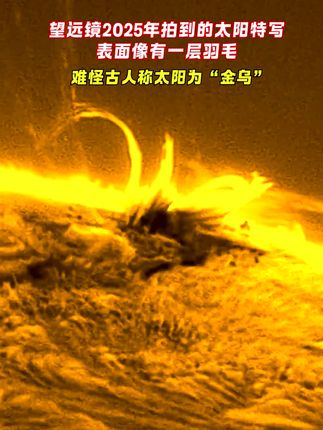 天文望远镜拍到太阳狂暴的表面#宇宙探索