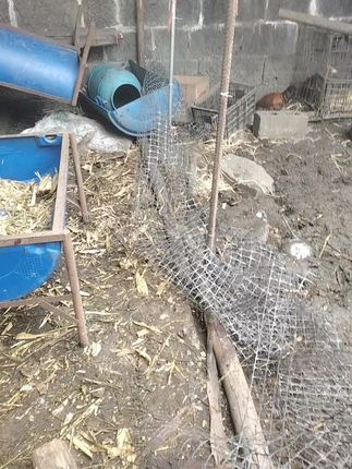 这个质量不行吧!