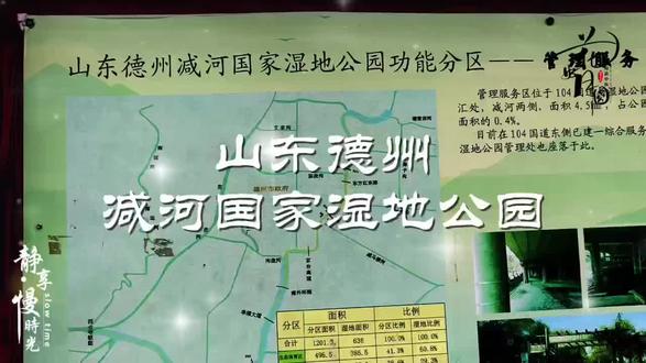 德州高铁一个多小时就到了#周末去哪玩