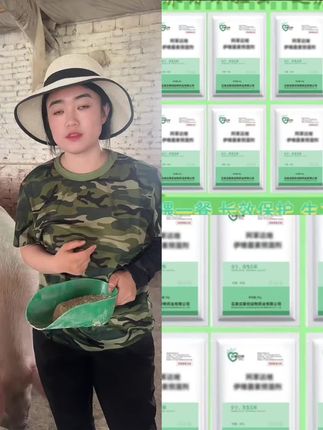 智联创专属【母猪畜牧体内外联创养殖添加剂猪牛羊狗一单10袋#养猪日记#养猪小妙招#爆款热卖中#厂家直发#超便宜超划算