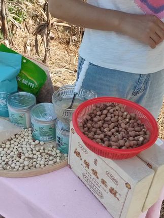 #我为家乡农产品代言 #红莲