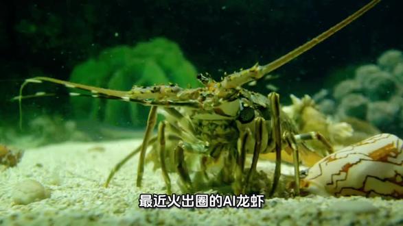 下一个大机会:中国算力服务出口全世界#股民#风口#ai龙虾#芯片#算力