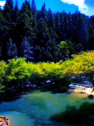 #风景如画的地方 #自然奇观 #黄龙