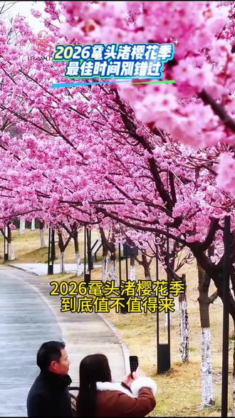 2026鼋头渚樱花季,最佳时间别错过!#无锡鼋头渚 #春日樱花打卡 #樱花季攻略#樱花 #抖音团购