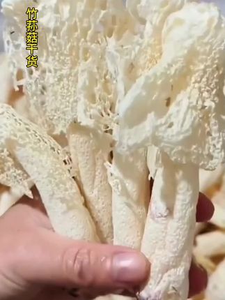 古田农家干竹荪!满满的膳食纤维,杆粗肉厚,脆嫩爽口!无论是煮火锅,还是煲汤炒菜都特别香 #竹荪干货 #竹荪鸡汤 #农村美食 #优质农产品 #地方特色美食