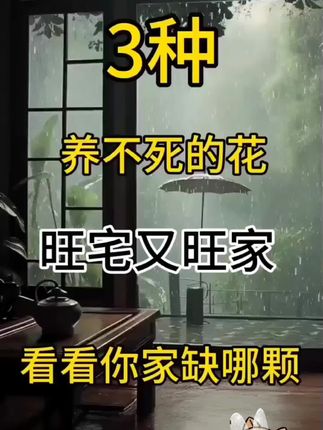 三种养不死的花,旺宅又旺家#水培植物#金钻盆栽