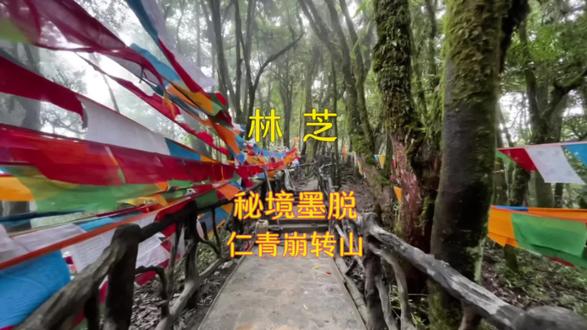 徒步旅行攻略路线图片 o8fBQbJAYXlPeCHnAKEHE2H55BA7eOzAvoYK5h~tplv-dy-resize-origshort-autoq-75:330.jpeg?x-expires=2010661200&x-signature=Ce7%2FwOw4Ba%2BRiMbAa%2F9rKgI721c%3D&from=3213915784&s=PackSourceEnum_AWEME_DETAIL&se=false&sc=cover&biz_tag=pcweb_cover&l=2023092121424484193BDCE3E1F91FCCDE