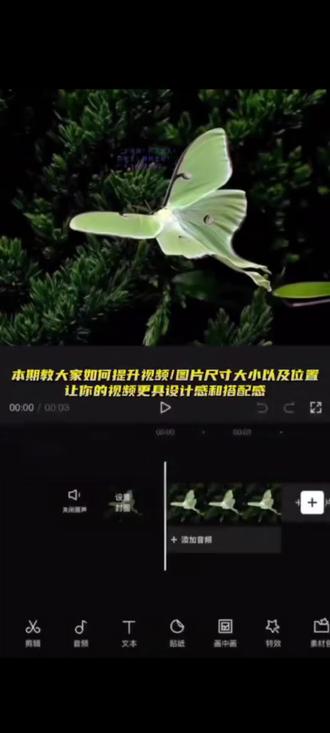 裁剪与比例的使用方法#剪辑教程