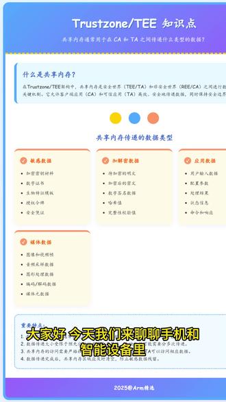 030-共享内存通常用于在 CA 和 TA 之间传递什么类型的数据?#trutzone #arm架构 #TEE