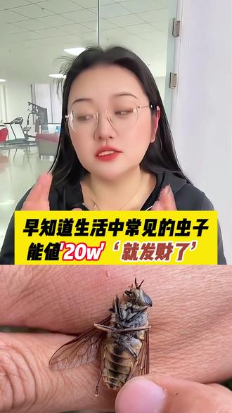 早知道生活中常见的虫子能值“20w”“就发财了”#牛虻