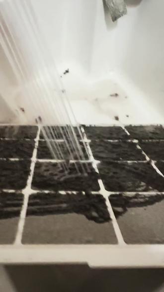 #打扫卫生 #空气净化器 #灰尘 #解压 #小米 用了一年多的小米空气净化器,第一次滤网,沾满了灰,变成了黑心棉😳,要是这么多灰吸到肺里不敢想象😱。