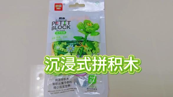 今天拼一个迷你积木,洋桔梗(坚强 自信 具有魅力)#真实生活分享计划 #抖音合伙人计划 #积木花束 #洋桔梗花语 #手工diy